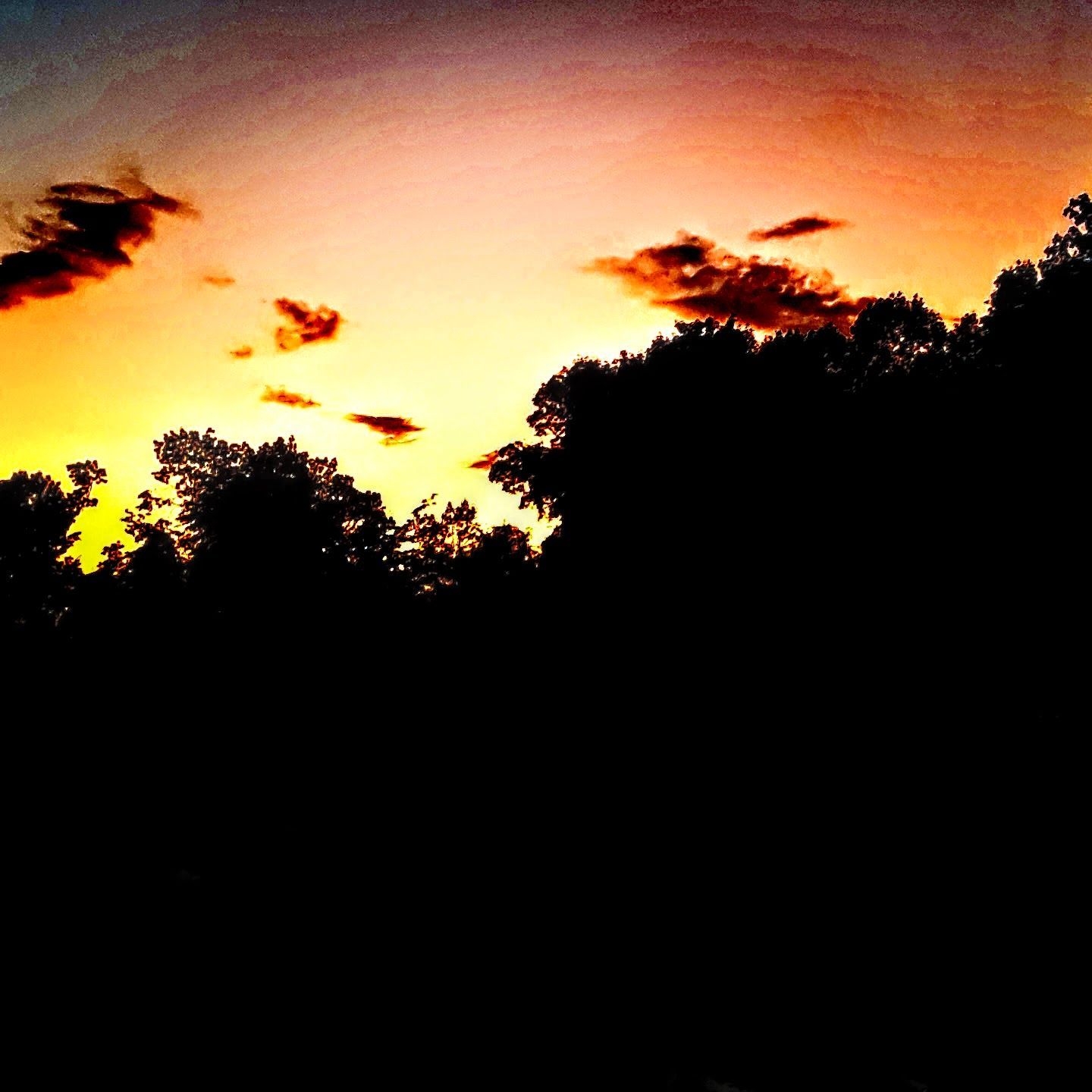 Night Mostly Gone