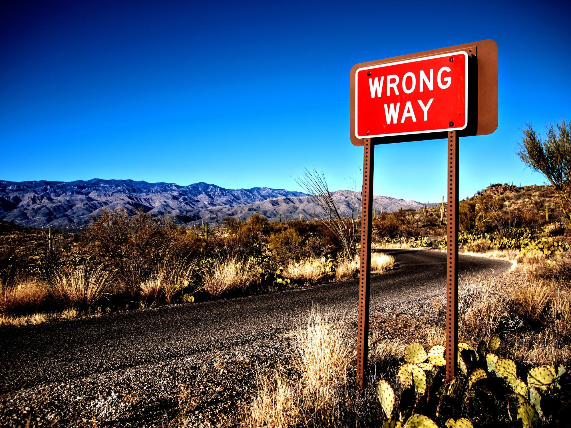Wrong Way