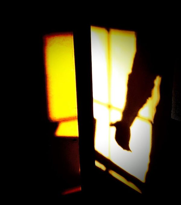 Dawn