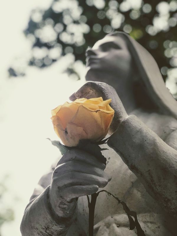 HUMAN (Anonymous)