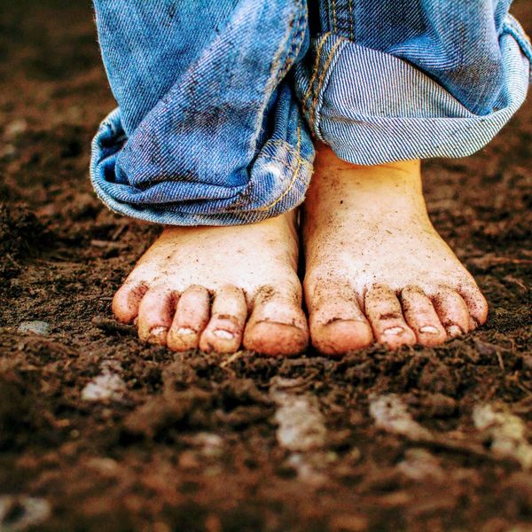 The Ground