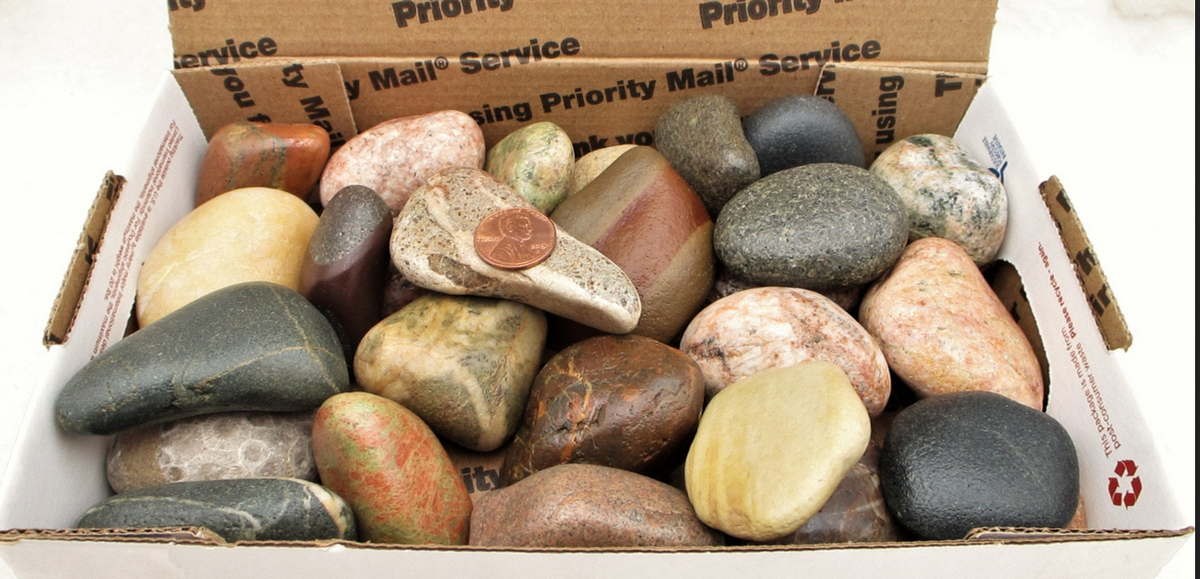 What did you go and do that for?