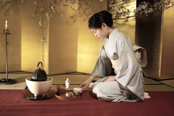 Ashitaba Powder Benefits