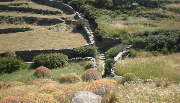 Η απειλή του τουρισμού στο τοπίο της Σίφνου οδηγεί σε απώλεια θετικών λειτουργιών και, ως εκ τούτου, εξασθενεί το ρόλο του