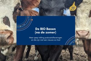 Afbeelding bij: De BIO Bazen (na de zomer)
