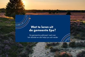 Afbeelding bij: Wat te leren uit de gemeente Epe?