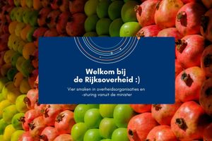 Afbeelding bij: Welkom bij de Rijksoverheid :)