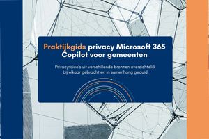 Afbeelding bij: Praktijkgids privacy MS Copilot
