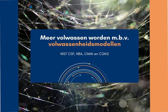 Afbeelding bij: Vier modellen voor volwassenheid