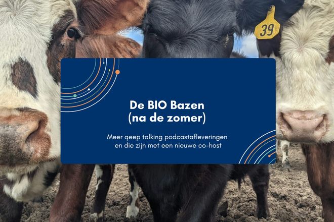 Afbeelding bij: De BIO Bazen (na de zomer)