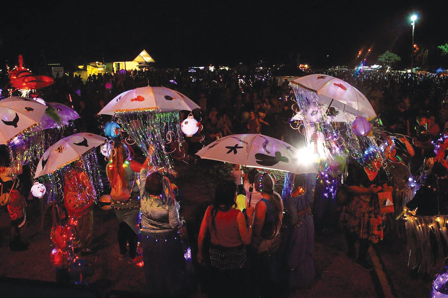 Whale Festival 2023 Bigger and brighter than ever!