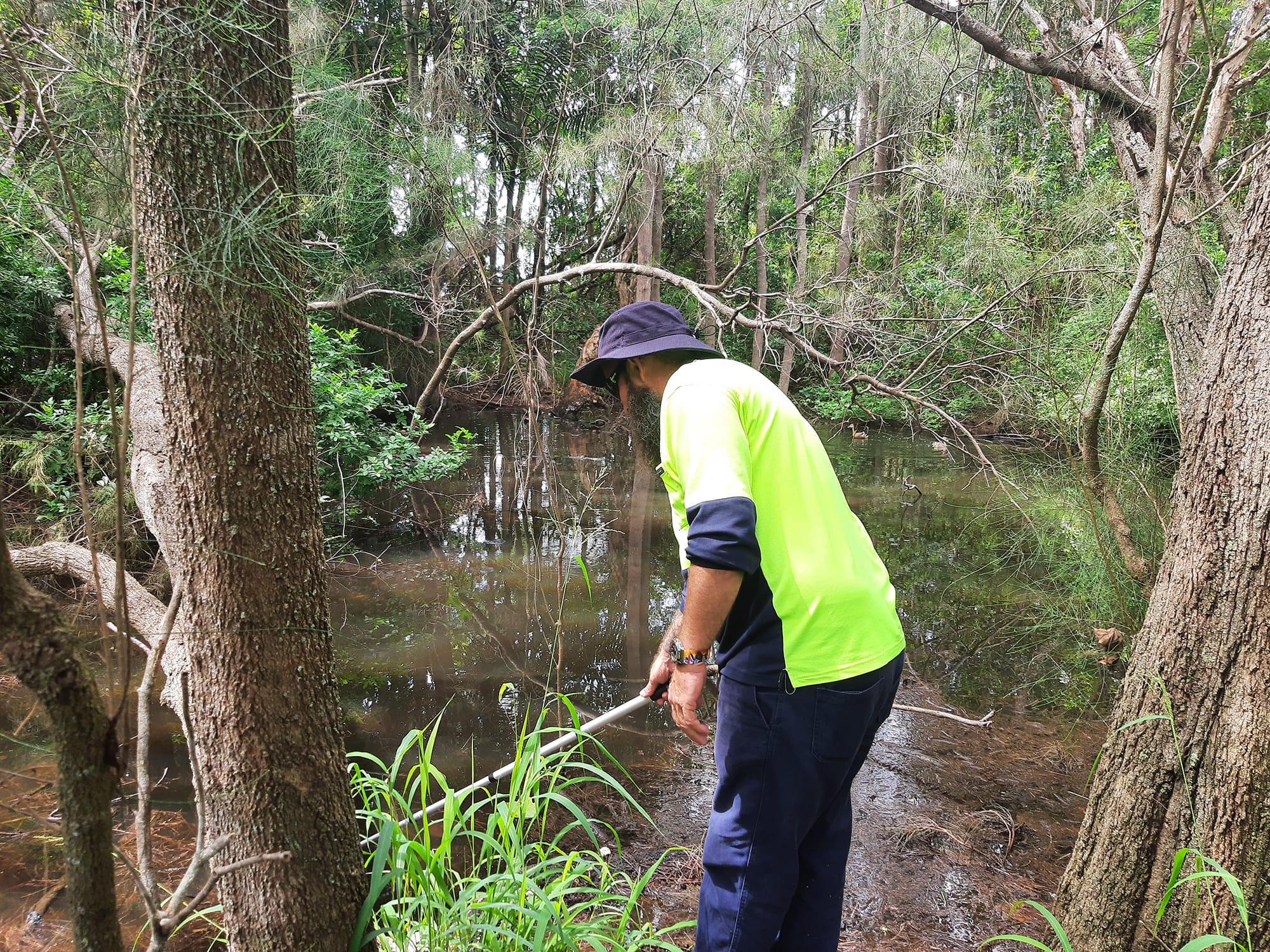 Stay safe from mozzies after hot, wet weather