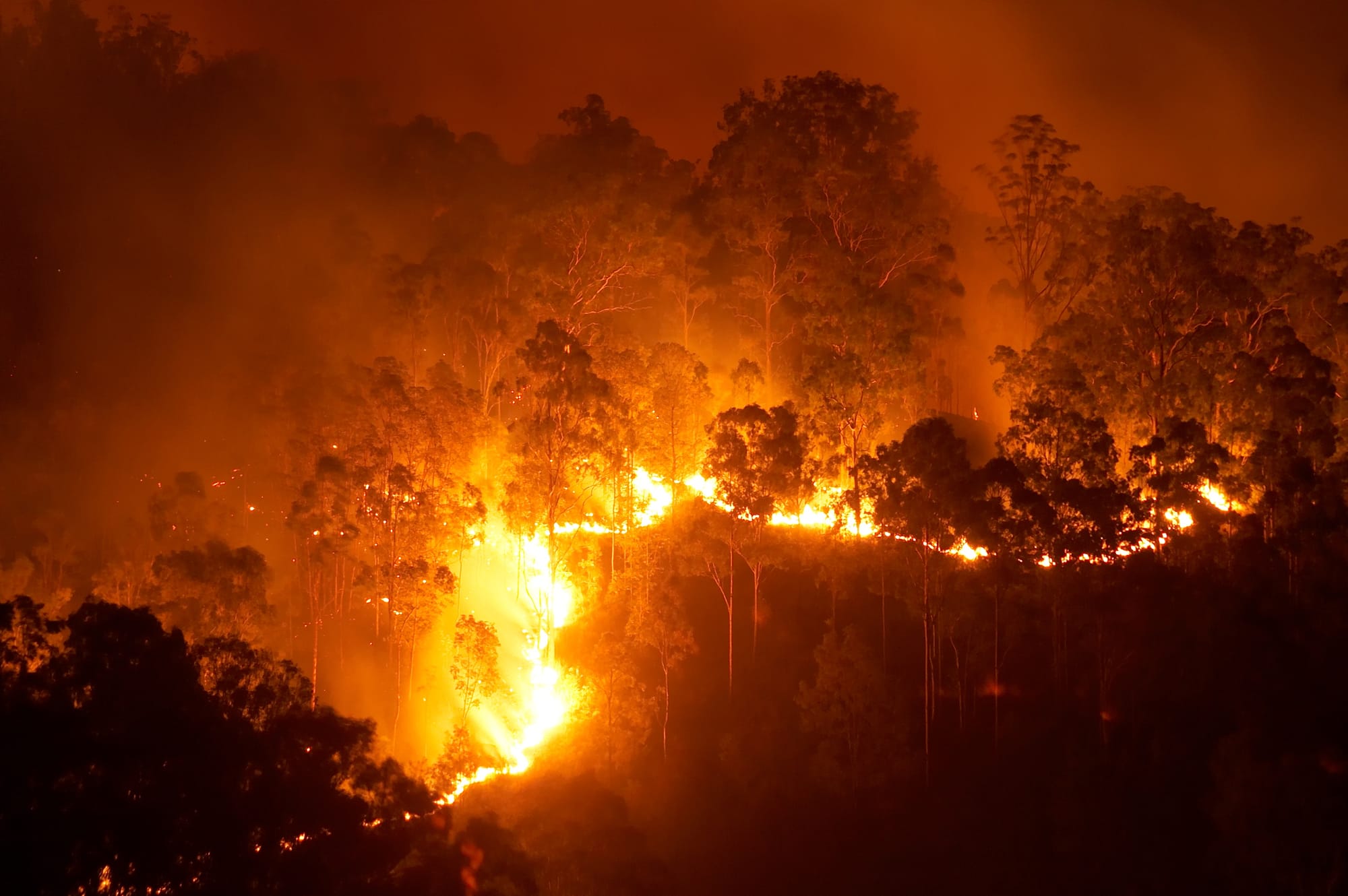 New bushfire plan to help protect local communities