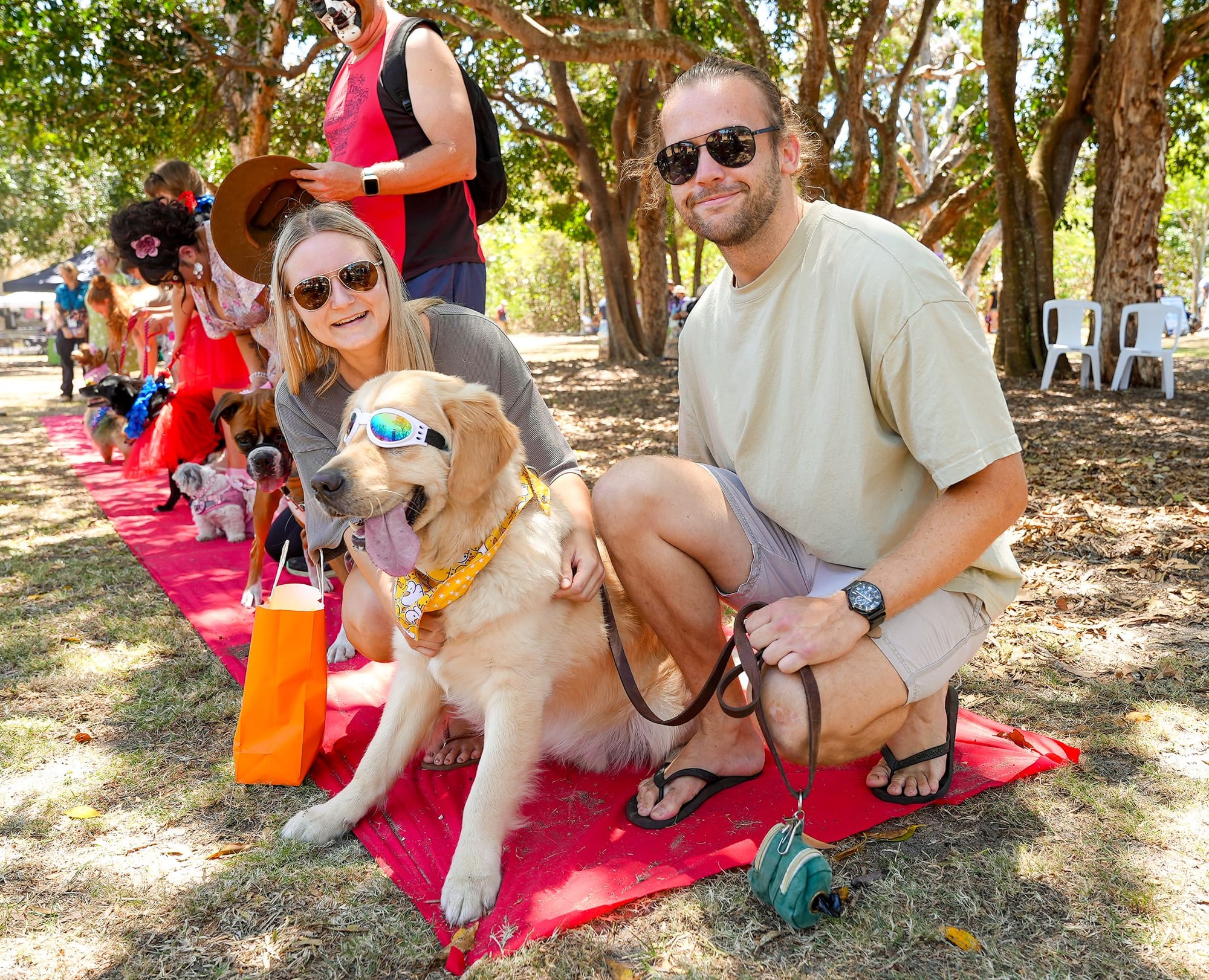 Dog’s Day Out is coming