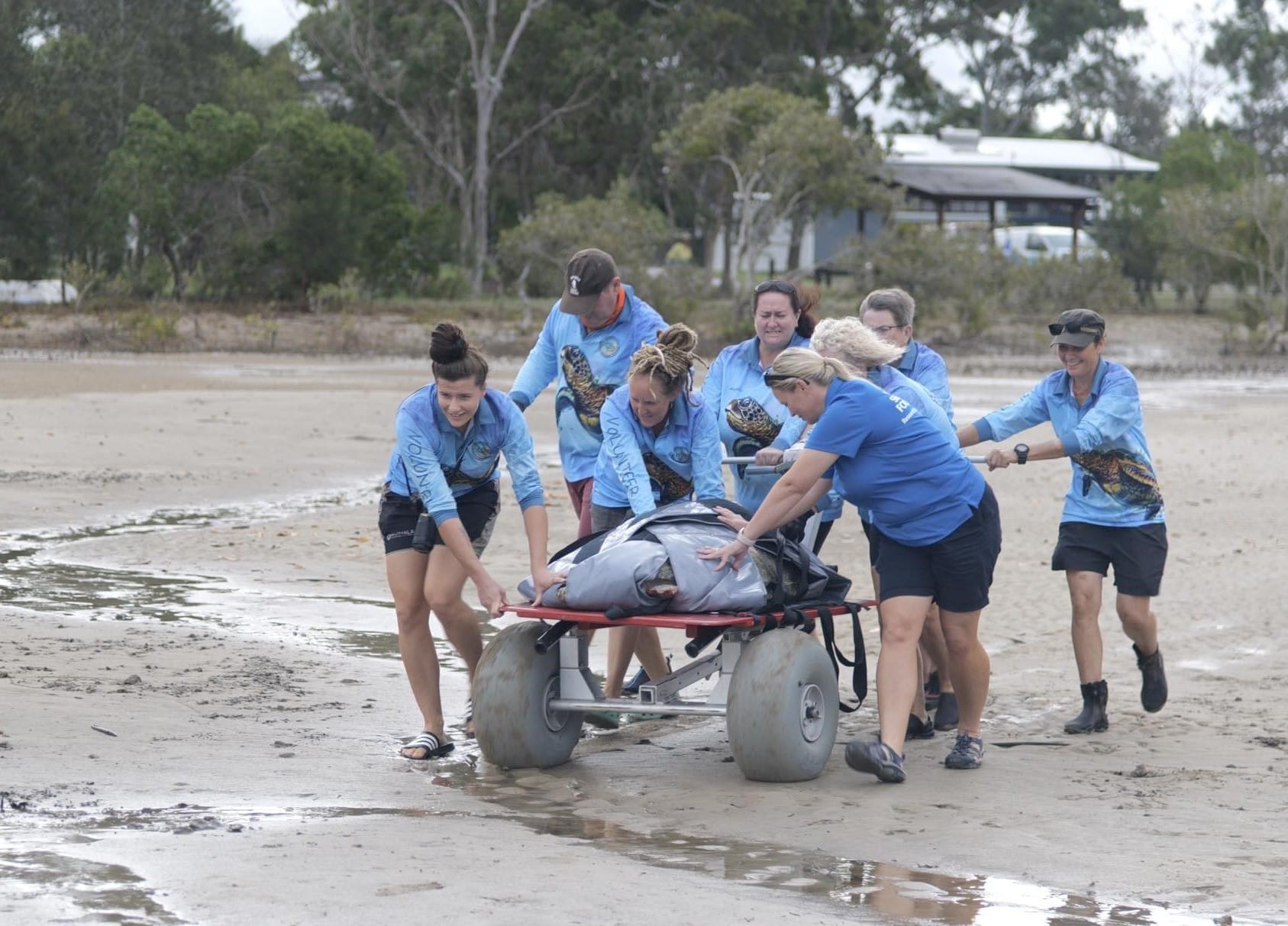 Construction begins on sea turtle research and rehabilitation centre