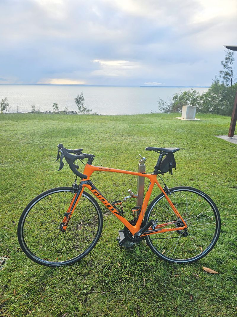 Bay of Wellness post image