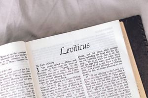 Scripture’s hidden gems: Leviticus
