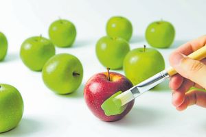 All things to all men – using and abusing Paul’s rule