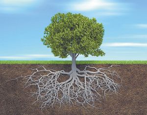 The futile ways of your forefathers