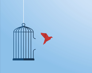 Why I believe the Frankfurt Declaration is necessary