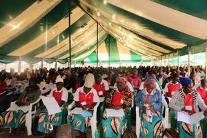 Mozambique: Grace Mission conference is the ‘best so far’