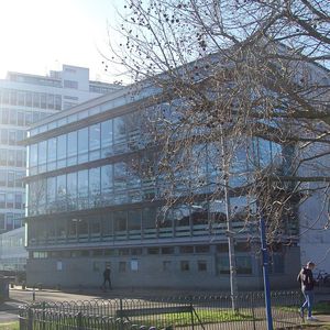 Brighton University advises staff to not say ‘Christmas’ but instead call it ‘Winter closure period’