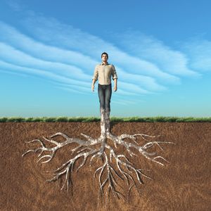 Putting down roots: A call to young people