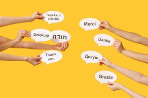 Reflections on language