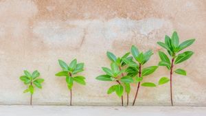 British evangelicals are increasing, but is it really gospel growth?