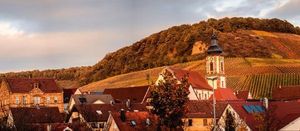 Missionary spotlight: Witness in Heilbronn