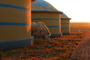 Building in Mongolia