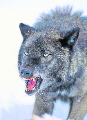 Early British Christianity (5) – The Anglo-Saxons arrive