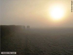 Making  sanity out of vanity