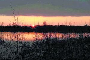 What did the  Reformers believe about the age of the earth? (1)