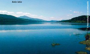 ‘The Lord’s gift’: Thomas Charles (1755–1814)