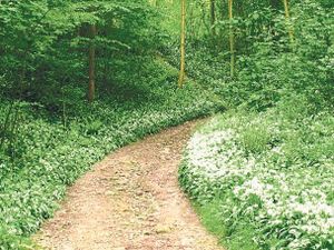 Finding God’s way