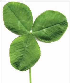 A triune blessing