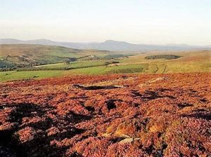 Society – Pennine  preaching