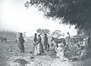 LETTER FROM AMERICA: How American churches justified slavery