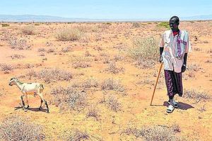 International – World Vision in Somalia