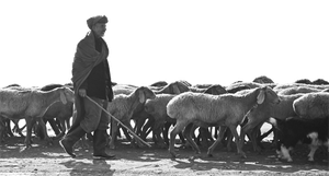 Ten commandments for pastors