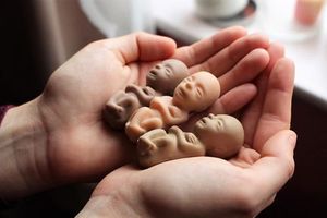 Society – The fight against abortion: ‘green shoots of life’ in Sheffield