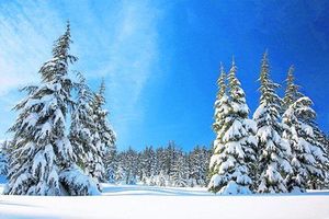 Let’s go to Bethlehem