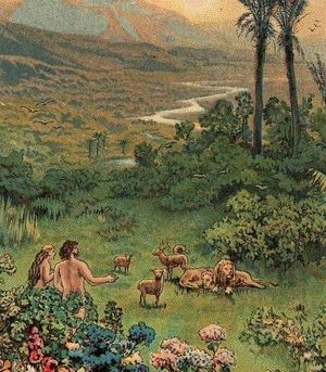 The Fall of Man – A Picture of Grace