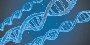 Man: created or evolved?