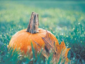 Darkness and Light: Hallowe’en and Reformation Day