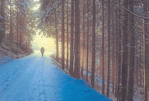 Coming home for Christmas