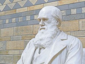 Should we ‘cancel’ Darwin?