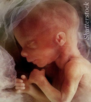 Pro-life victory as MP’s extreme abortion proposals fail to pass