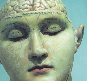 A SHRINK THINKS… Physical or mental? Part one